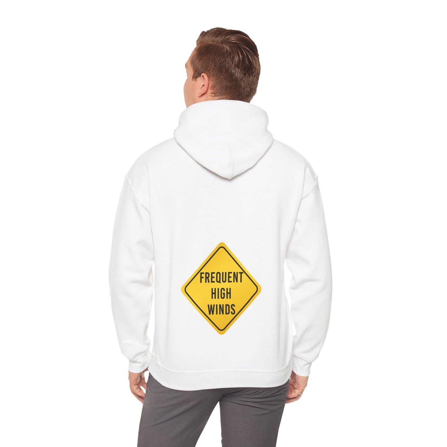 high frequency fart joke (hoodie)