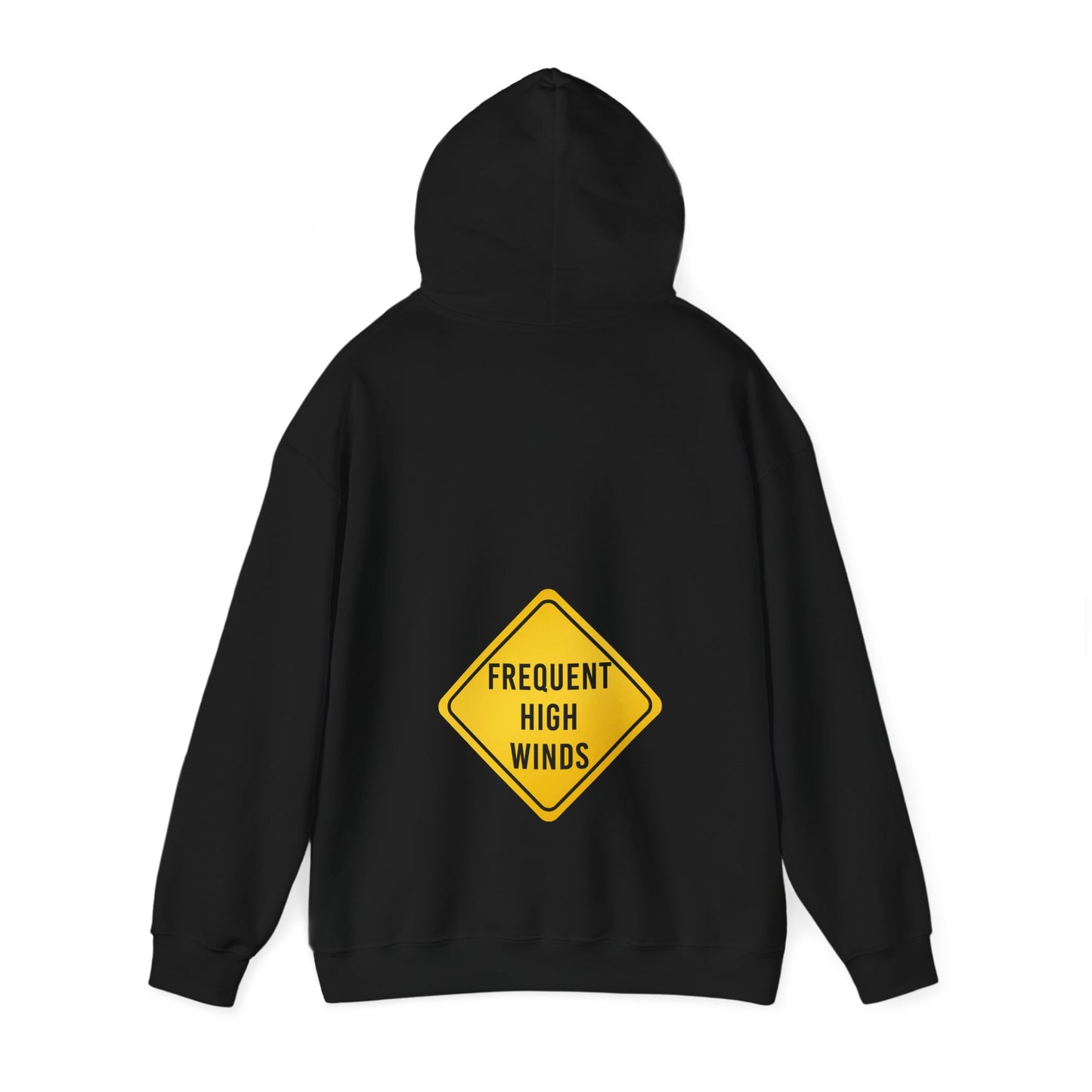 high frequency fart joke (hoodie)